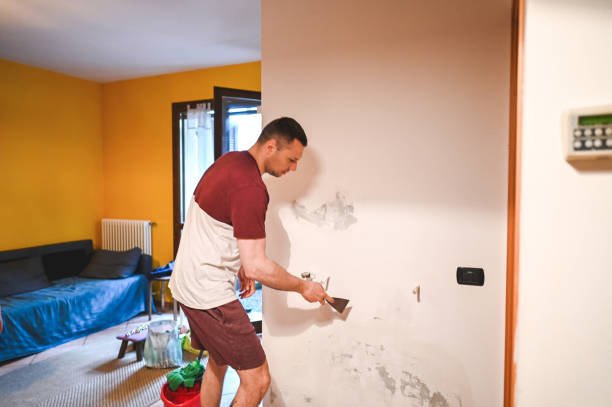Best Kitchen Mold Remediation in North St Paul, MN